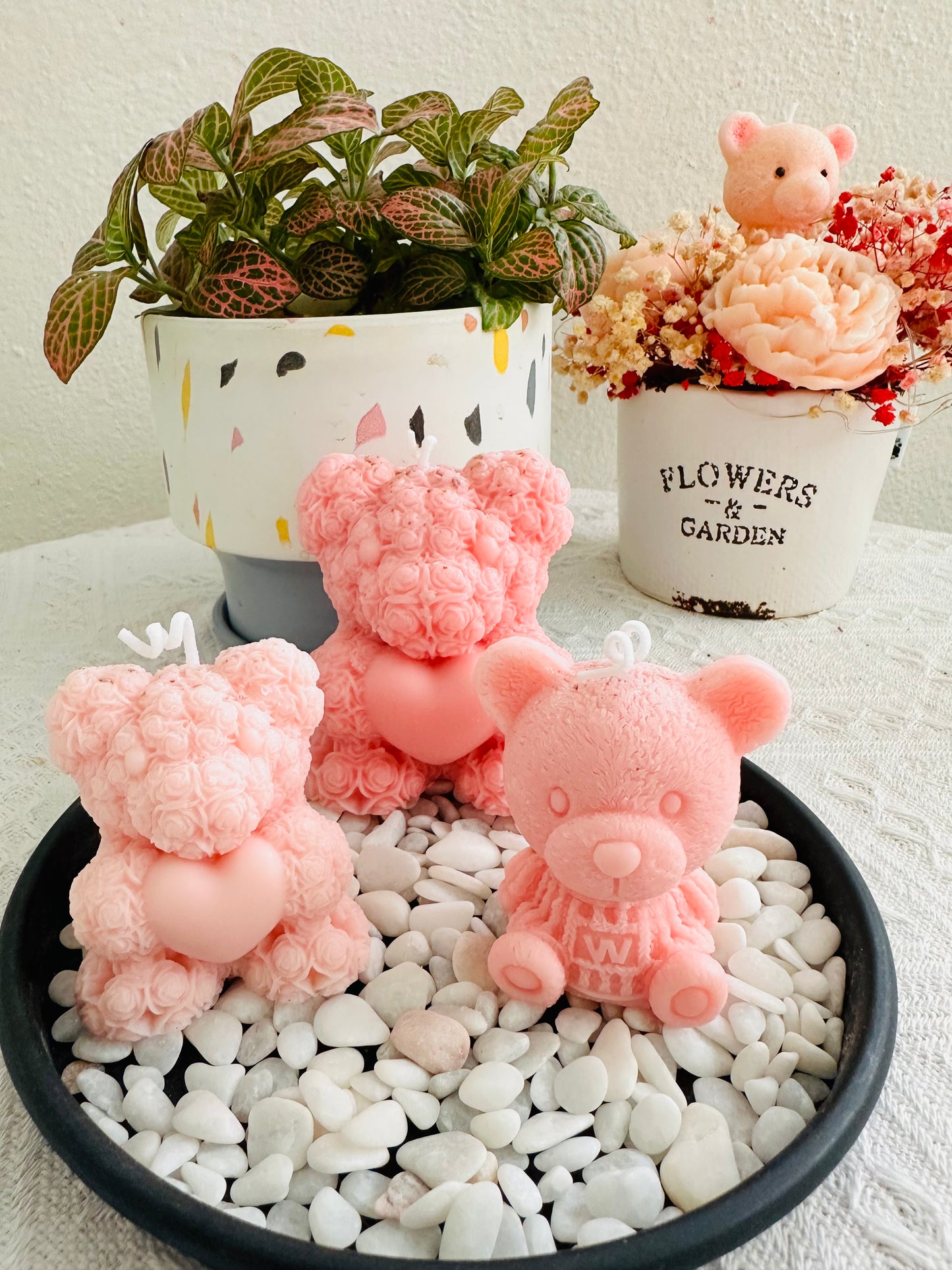 Medium Rose Teddy Bear